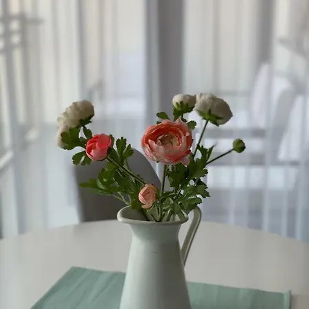דירה Apartament Zacisze מאלבורק